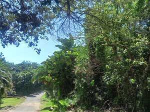 2635 m² Land available in Southbroom