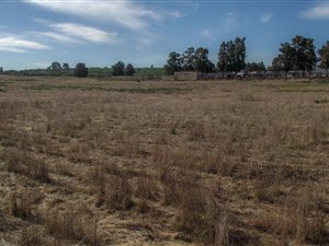 5 ha Farm in Malmesbury