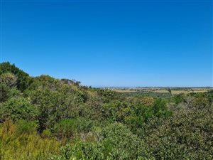 1653 m² Land available in Schoongezicht