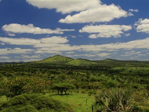 359 ha Farm in Hluhluwe