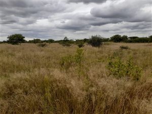 1.8 ha Land available in Eduanpark