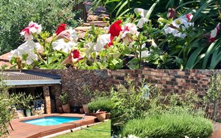 3 Bedroom Townhouse in Humewood