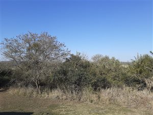 2 ha Land available in Ashburton