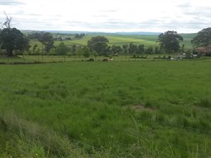 2.7 ha Land available in Manderston