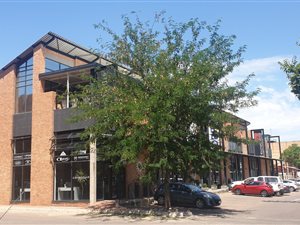 132 m² Commercial space in Fourways