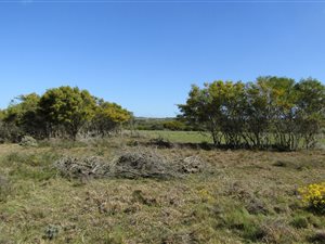 26.5 ha Farm in St Francis Bay