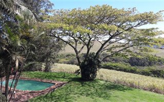 18 ha Farm in Umzinto