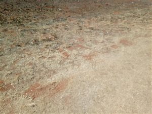 992 m² Land available in Kookrus