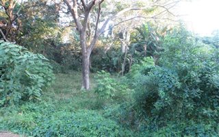 1311 m² Land available in Sunwich Port