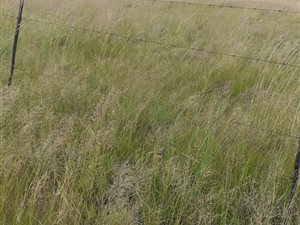 2.3 ha Land available in Kaydale
