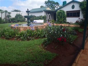 8.6 ha Farm in Leeuwfontein