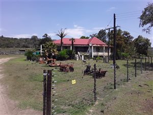 547 ha Farm in East London Central