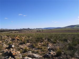 12.8 ha Farm in Baardskeerdersbos