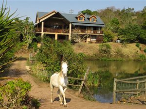 2.2 ha Farm in Summerveld