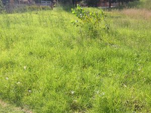 1078 m² Land available in Welgedacht