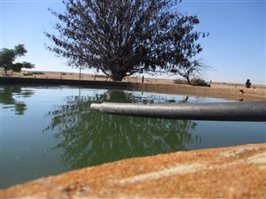 285 ha Farm in Hartbeesfontein
