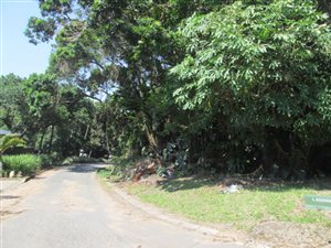 2082 m² Land available in Southbroom