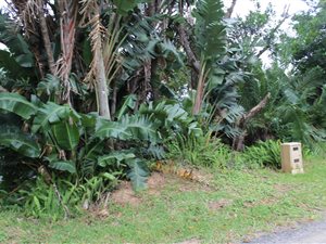 1105 m² Land available in Leisure Bay