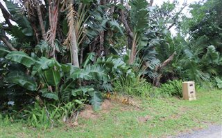 1105 m² Land available in Leisure Bay
