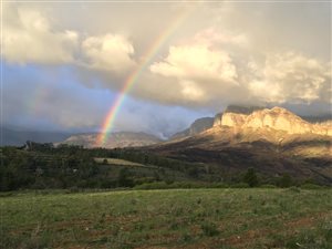 17 ha Farm with House in Paarl