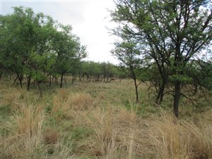 1.2 ha Land available in Leeuwfontein Estate