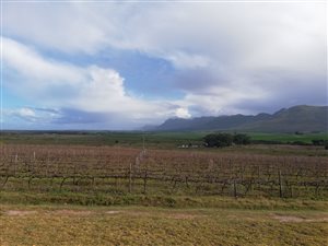 50.4 ha Farm in Stanford