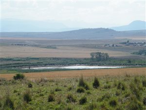 400 ha Farm in Winterton