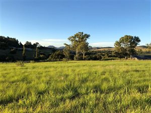 4628 m² Land available in Laezonia