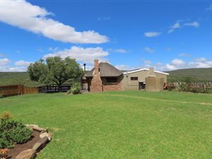 Game Farm in Grahamstown