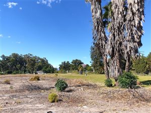 605 m² Land available in Clanwilliam