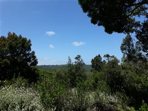 5 ha Land available in Hoekwil