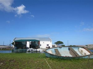4.8 ha Smallholding in Long Acres