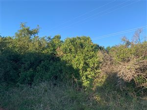 2142 m² Land available in Bathurst and Surrounds