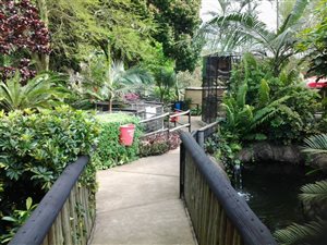 4 Bed House in Mposa