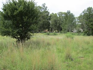 1115 m² Land available in Deneysville