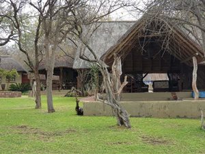 Farm in Hoedspruit