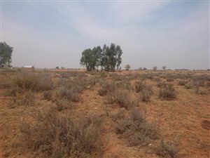 2.4 ha Land available in Sherman Park AH