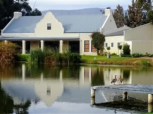 61 ha Farm in Tulbagh