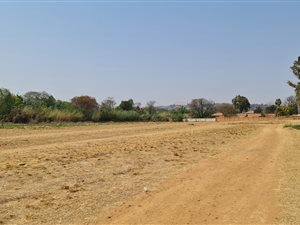 4.3 ha Land available in Silverton