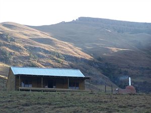 6500 m² Farm in Newcastle Central