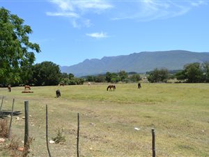 58.3 ha Farm in Swellendam