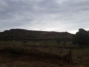342 ha Farm in Ficksburg