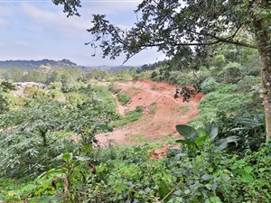 1.6 ha Land available in Bothas Hill