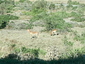 2267 m² Land available in Boesmansriviermond