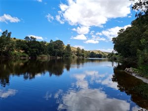134 ha Farm in Swellendam