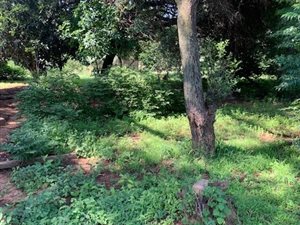 1.3 ha Land available in North Riding AH