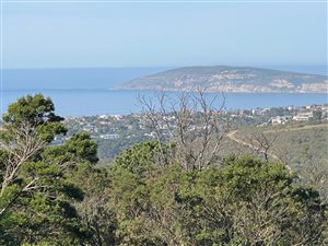 1672 m² Land available in Schoongezicht