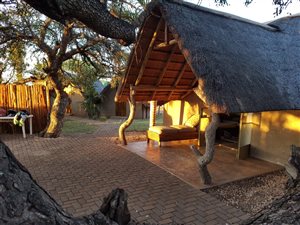 184 ha Farm in Polokwane Central
