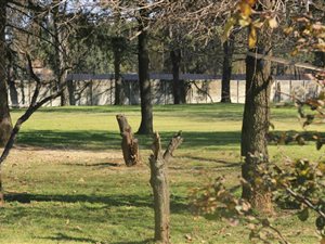 1.9 ha Smallholding in Fairleads