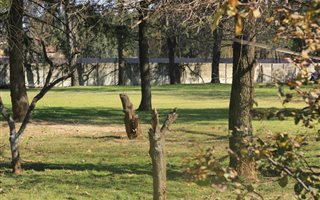 1.9 ha Smallholding in Fairleads